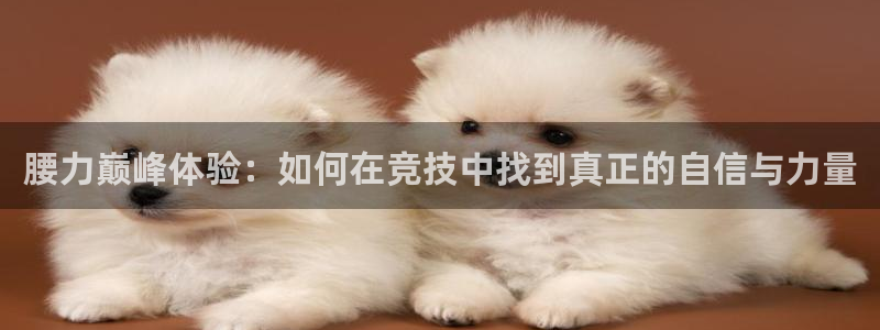 bbin视讯游戏官网