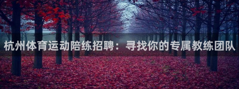 bbin视讯游戏官网