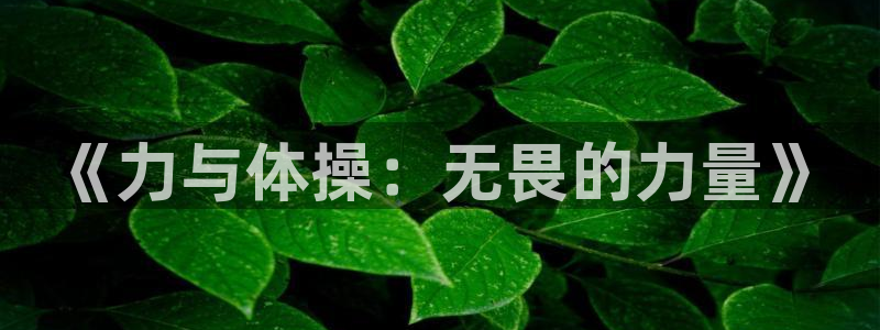 bbin视讯下
