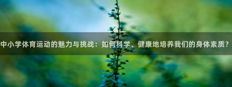 bbin视讯