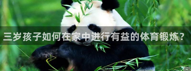 bbin视讯