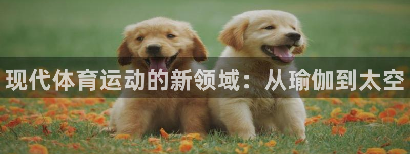bbin视讯游戏平台
