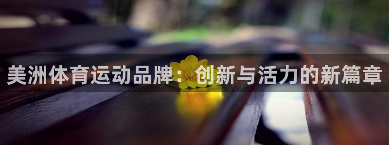 bbin视讯下
