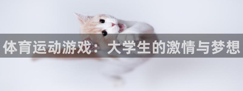bbin视讯下