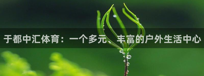 bbin视讯下