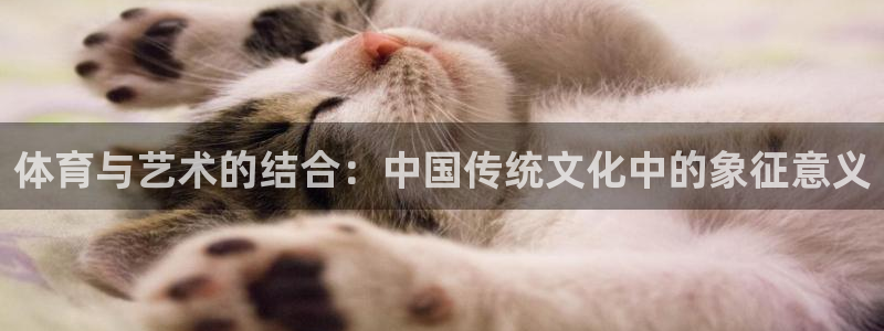 bbin视讯游戏平台