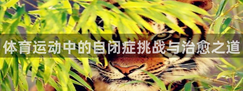 bbin视讯游戏平台
